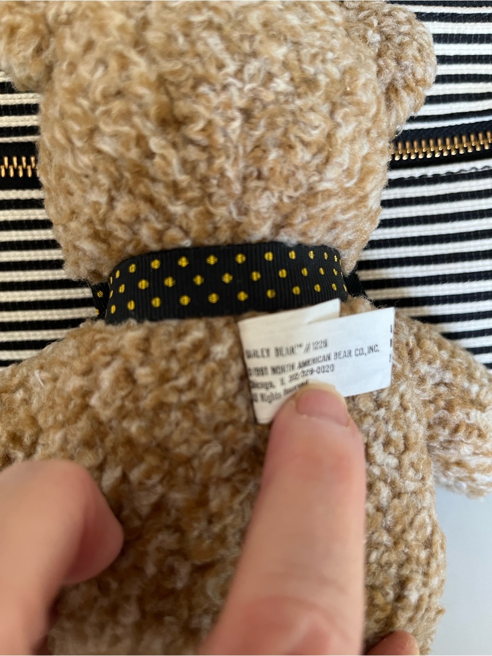 “Barley Bear” Stuffed Toy - Tan with Black Polka Dot Bow - Picture 11 of 12